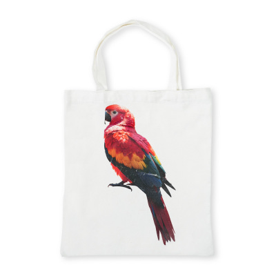 Colorful Bird-undefined