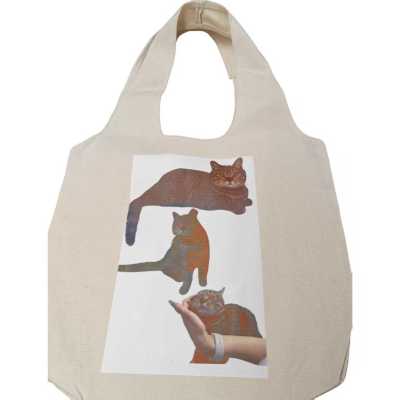 Cute Cat DTF Simple Canvas Bag-undefined