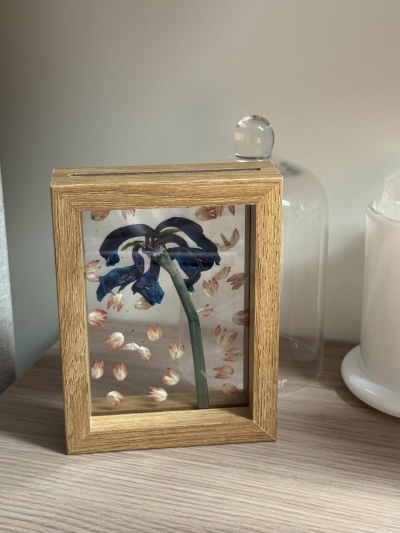 dance in the wind-undefined